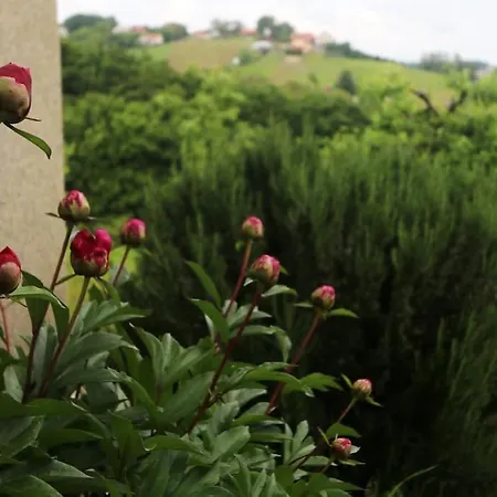 A Perfect House With A Terrace And A View Jursinci